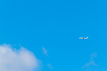 Naklejka na ściany i meble 青い空と白い飛行機
