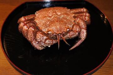 毛ガニ