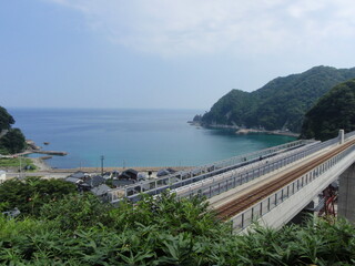 Obraz premium OLYMPUS DIGITAL CAMERA