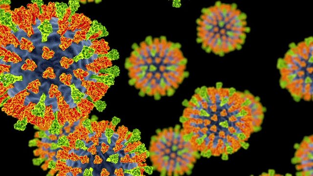 Measles virus particles, animation