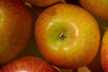 Fresh red apples from the orchard. Fresh food without additives