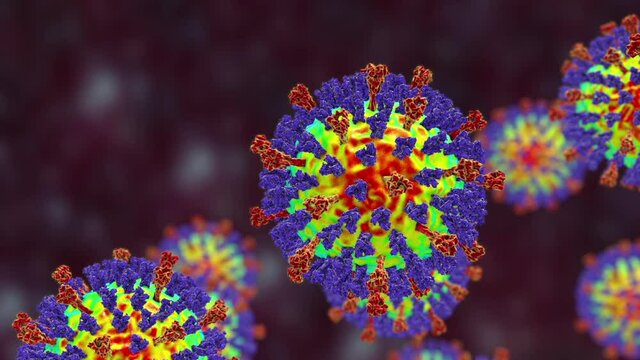Measles virus particles, animation
