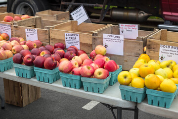 Fresh produce for sale at a farmers market
