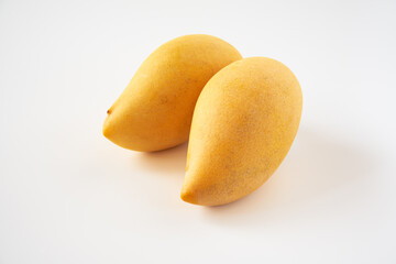 マンゴー白背景で