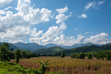Naklejka premium Sky and clouds.