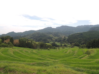 千葉の大山千枚田oyama senmaida (oyama rice terraces), chiba, selected as one of the top 100 terraced rice Fields in japan. fields of fresh green surrounded by mountains