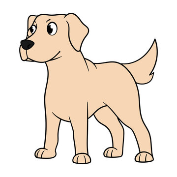 Cartoon Golden Labrador Vector Illustration
