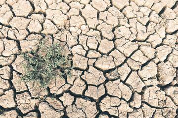 Landscape ground cracks drought crisis environment background.