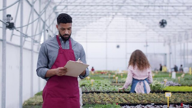 Colleagues working in garden centre, man with clipboard.
