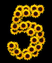 image of number 5 made of yellow sunflowers flowers isolated on black background. Design element...