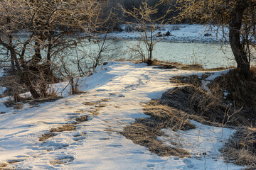 Frosty winter morning in nature, warm morning light on the background of snow, shrubs and trees in patterns of frost.