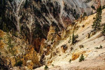 Artist Point View in Yellowstone National Park