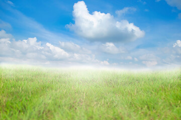Fototapeta na wymiar Green meadow with blue sky and white clouds and fog background