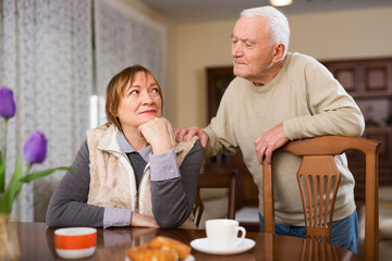 Portrait of cheerful senior couple in living room