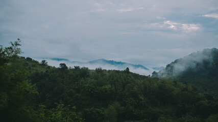 Mountains and fog.