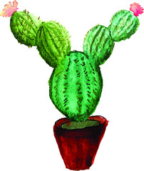 cacti illustration