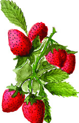 reddish strawberries