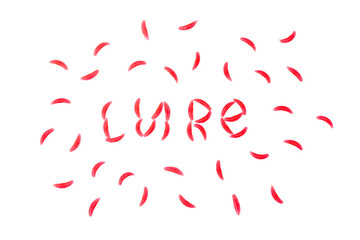 Lure text made from red silicone maggot bait. Lots of silicone baits around the lettering. Studio photo with isolated objects on a white background.