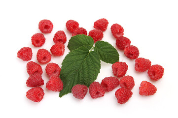 ripe raspberries and green leaf