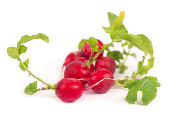 Radis bunch isolated on white background. Fresh radish root bundle, pile of red radishes with green leaves top view