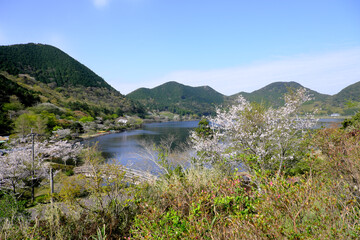 Obraz premium 春を迎えた美しい藺牟田池の自然の風景