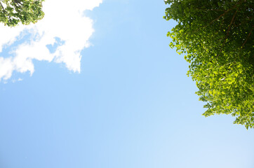 晴れの日の青空