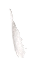 Splash of milk on white background