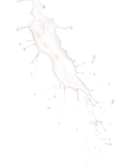 Splash of milk on white background