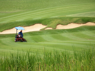 Isolated close-up of a Golf course worker using a ride on lawn mower cuts the grass on the fairway in a pattern of lines on an immaculately prepared fairway