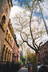 Fototapeta premium town city New York Brooklyn houses buildings tree sky 