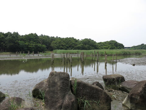 水池 Images Browse 17 Stock Photos Vectors And Video Adobe Stock