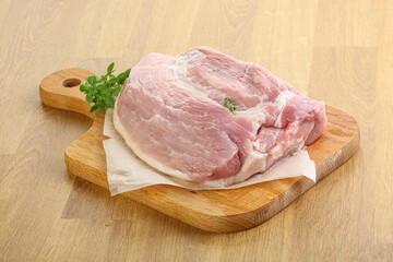 Piece of the raw pork meat