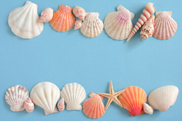 Shells on a blue background