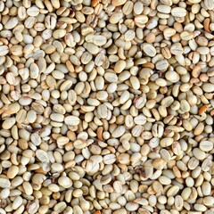 seamless coffee beans texture 