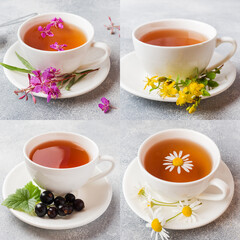 Collage of different photos of teas with herbs chamomile, black currant, Ivan tea and flowers Hypericum.