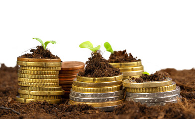 Euro coins and plant sprouts, financial growth concept