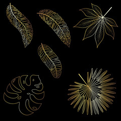 Gold tropical leaves set