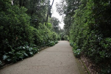 Napoli - Vialetto di ingresso di Villa Floridiana