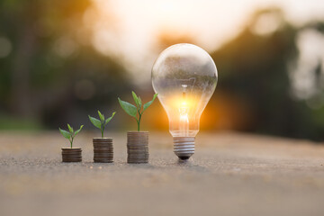Light bulb Energy saving and a coin glass on the floor nature background