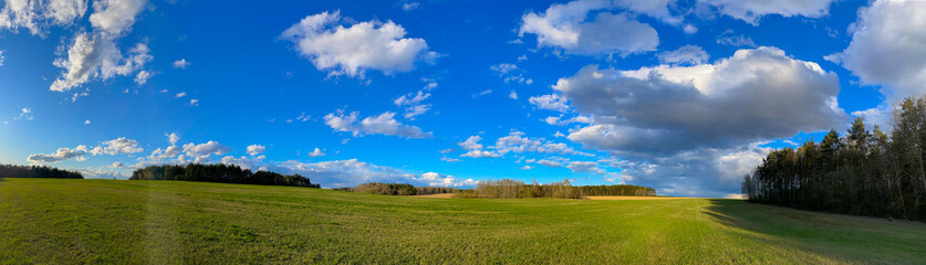 Panorama Clouds on a sunny day on the background of the forest