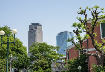 Obraz na płótnie Canvas 東京代官山の風景　渋谷の高層ビルを望む