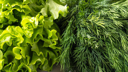 Fresh green lettuce and dill background