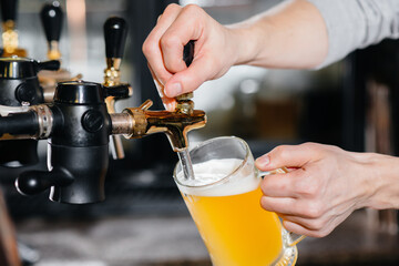 Close-up of the bartender filling a mug of light beer. The bar counter in the pub.