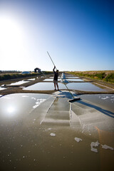 Marais salant et saunier récoltant le sel en France.