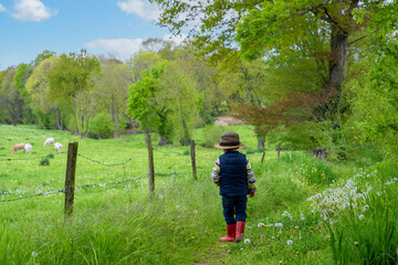 Young child in nature