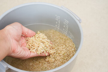 Men hand is washing brown rice or soak for cleaning and preparation cooking, Natural grain dietary fiber for health, Scale or ratio to measure water level, Electric cooker background with copy space.