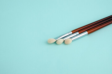 High end eye make up brushes set for professional face making artist on a blue background