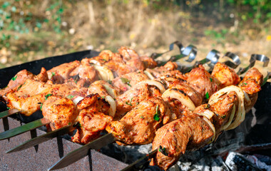 Grilled marinated meat with onion on skewers.