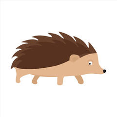 Hedgehog prickly animal