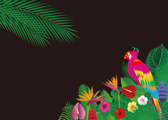 熱帯の花と葉とオウムのような空想の鳥の背景。　ベクターイラスト